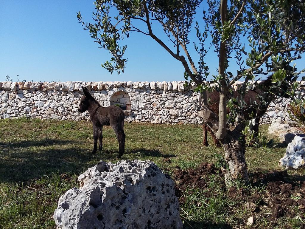 Agriturismo Masseria Casedde Vecchie Martina Franca Exterior photo